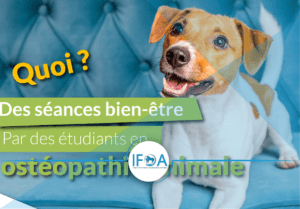 Affiche animalis semaine internationale de l'ostéopathie animale