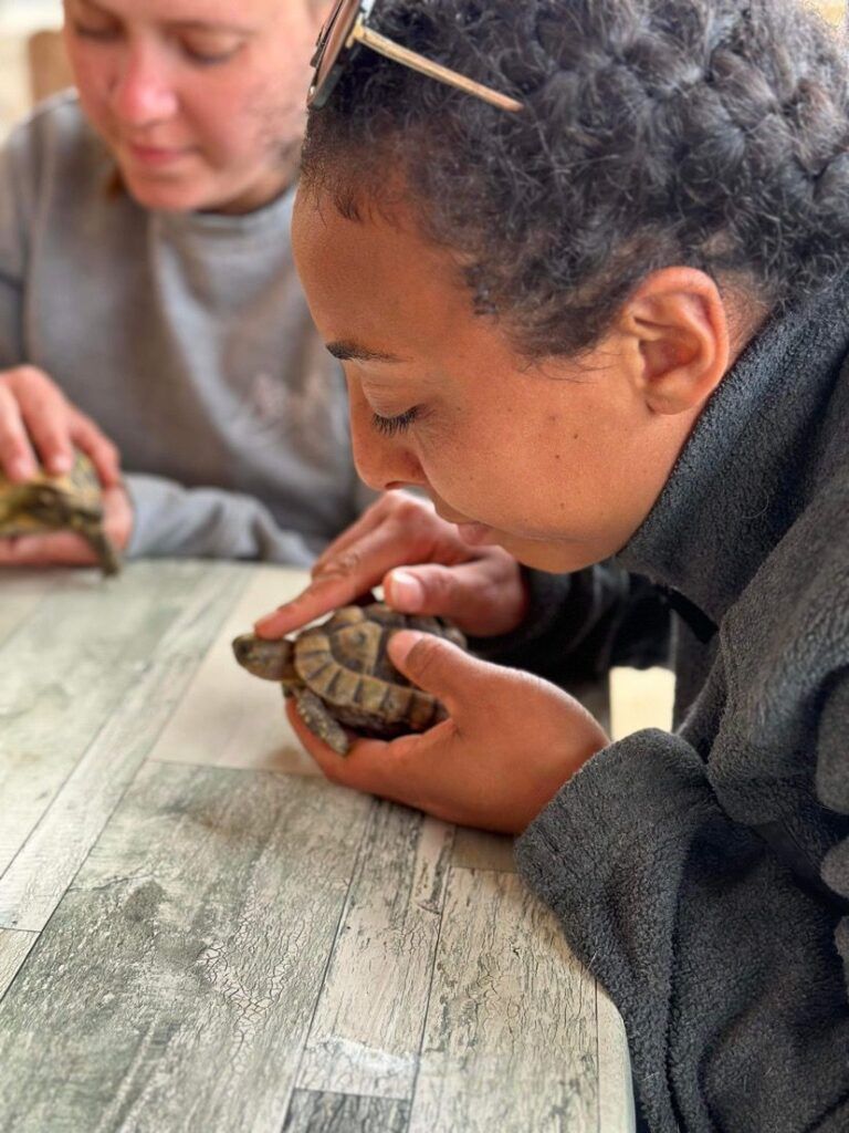 Ostéopathe animalier et tortue