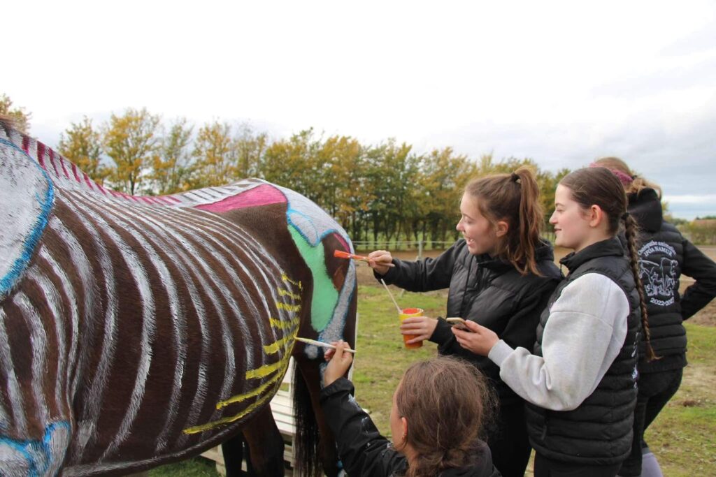 Ecole ostéopathie animale