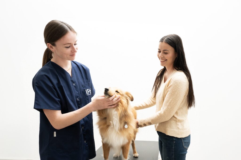 Ecole ostéopathie animale