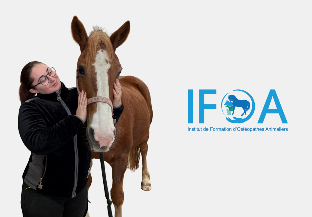 formation ostéopathie animale