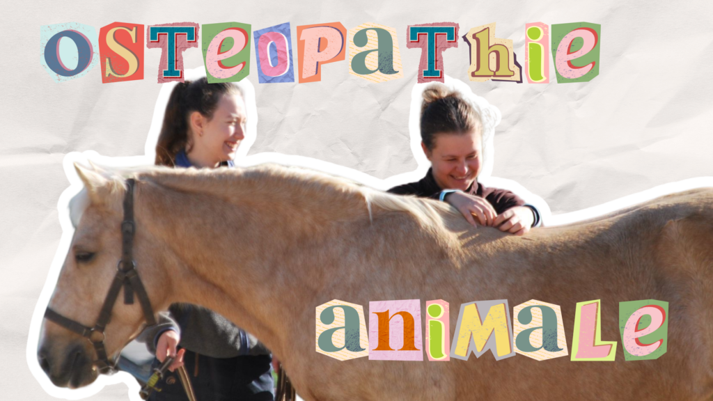 trouver une école osteopathie animale hors Parcoursup