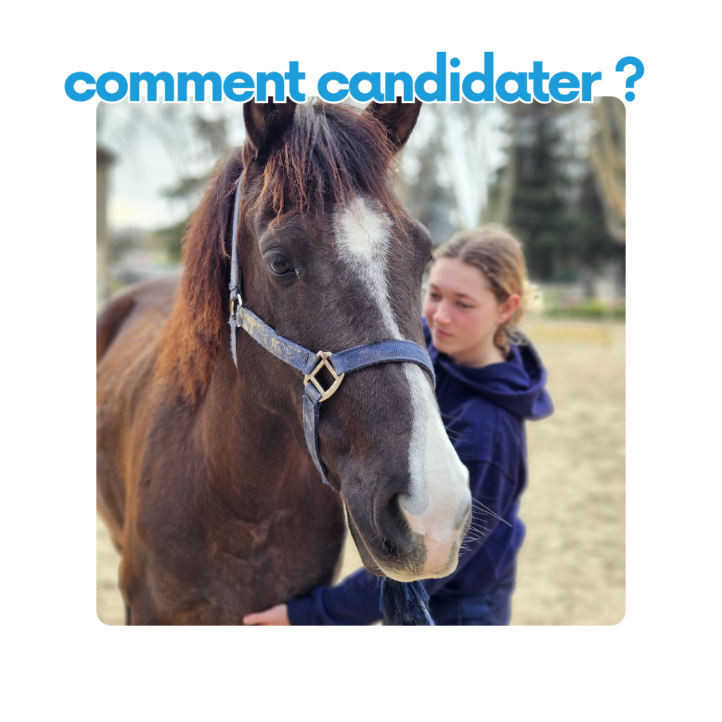 comment candidater - candidature