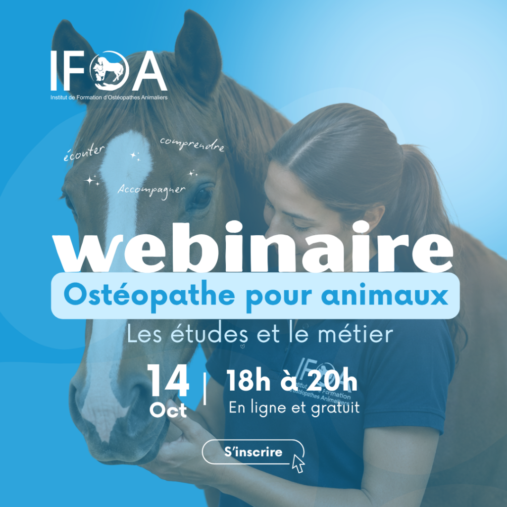 Webinaire IFOA 14 octobre 2026