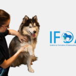 IFOA Lille Nantes
