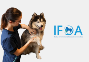 IFOA Lille Nantes