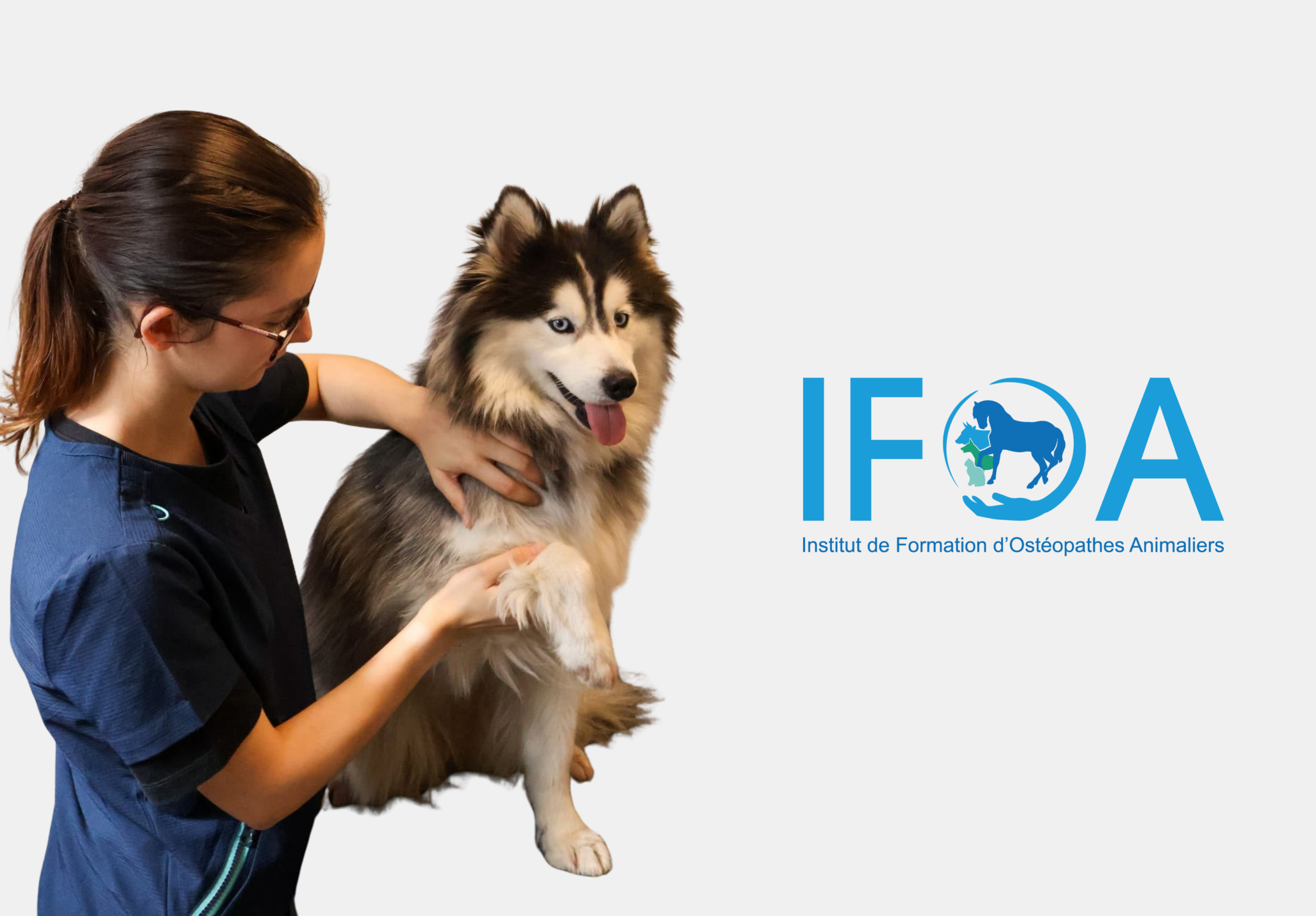 IFOA Lille Nantes