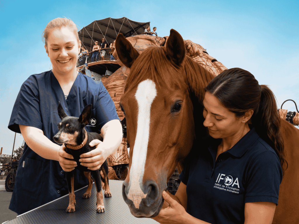 IFOA Nantes école ostéopathie animale 2027