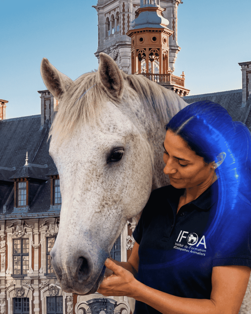 IFOA école ostéopathie animale Lille