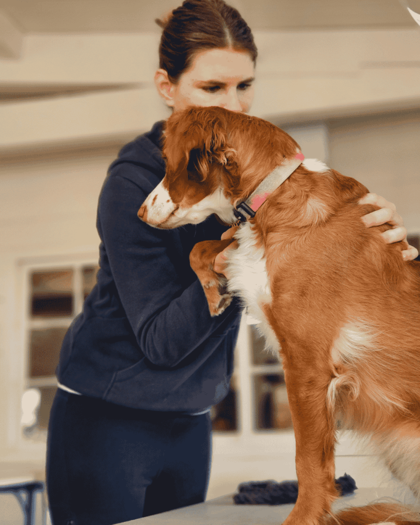 IFOA école ostéopathie animale Nantes chien